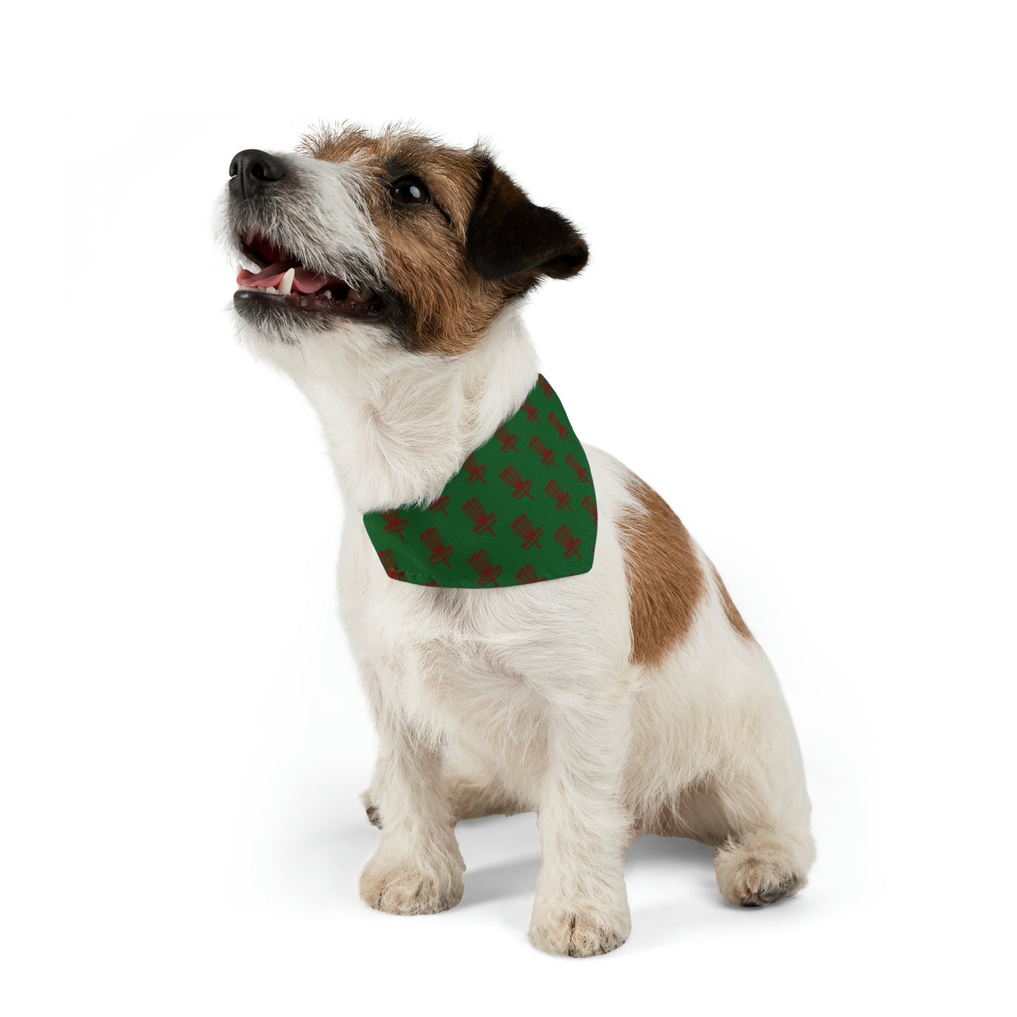 Pet Bandana Collar- Red on Green