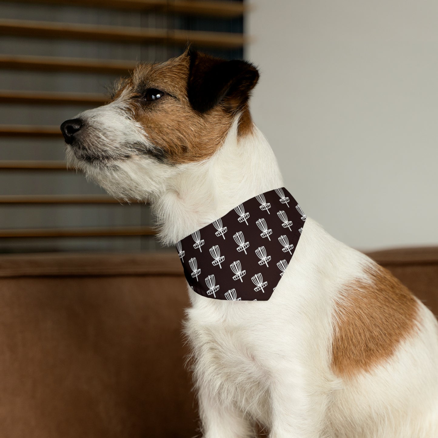 Pet Bandana Collar- Black