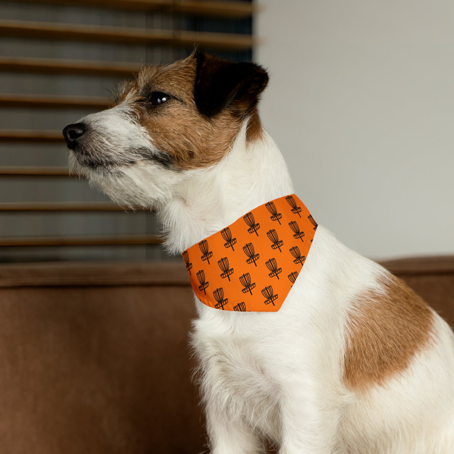 Pet Bandana Collar- Orange