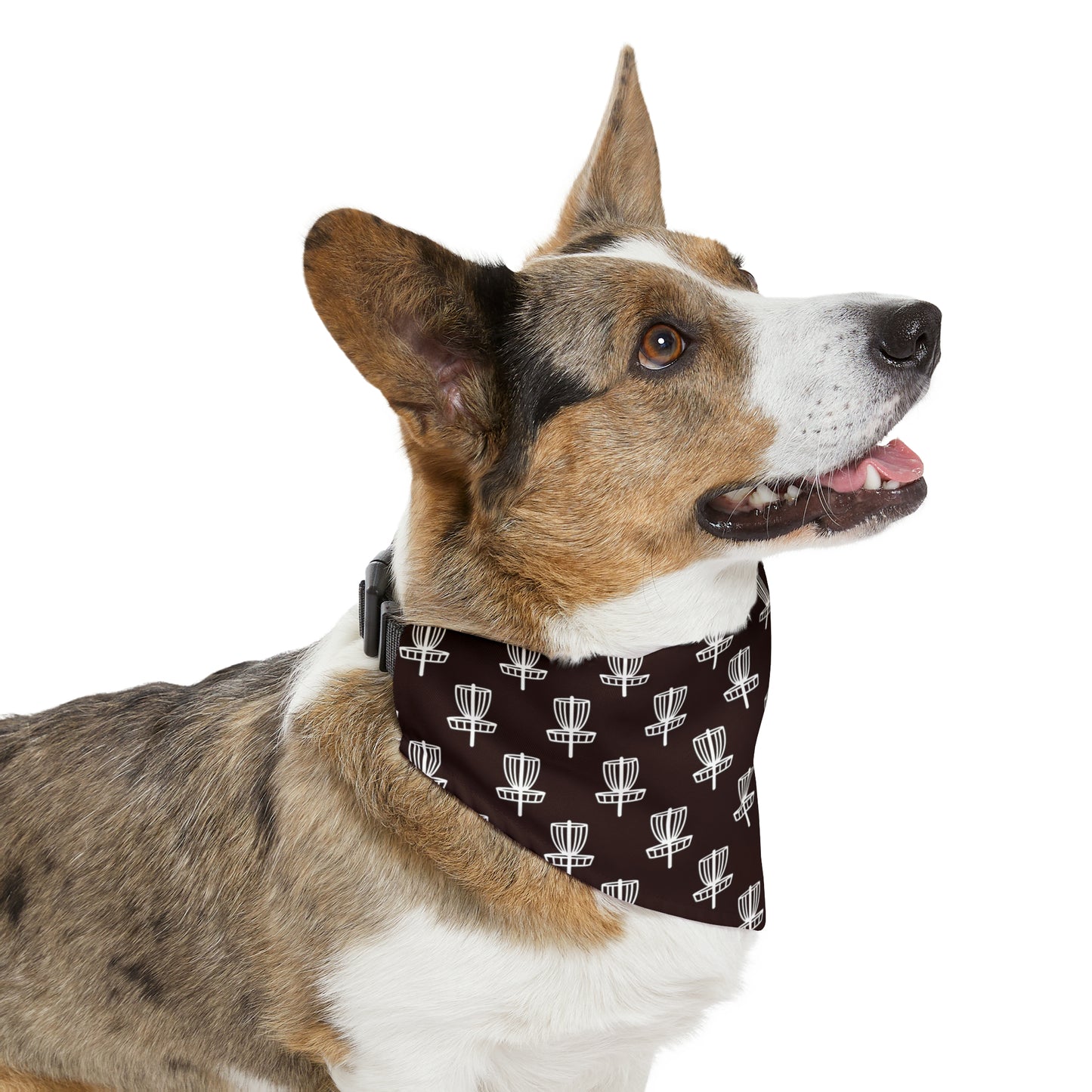 Pet Bandana Collar- Black