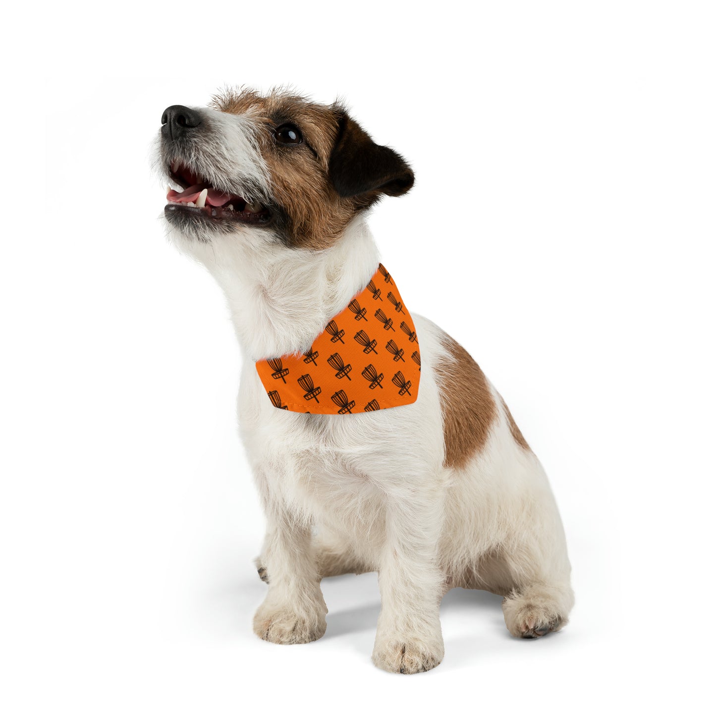 Pet Bandana Collar- Orange