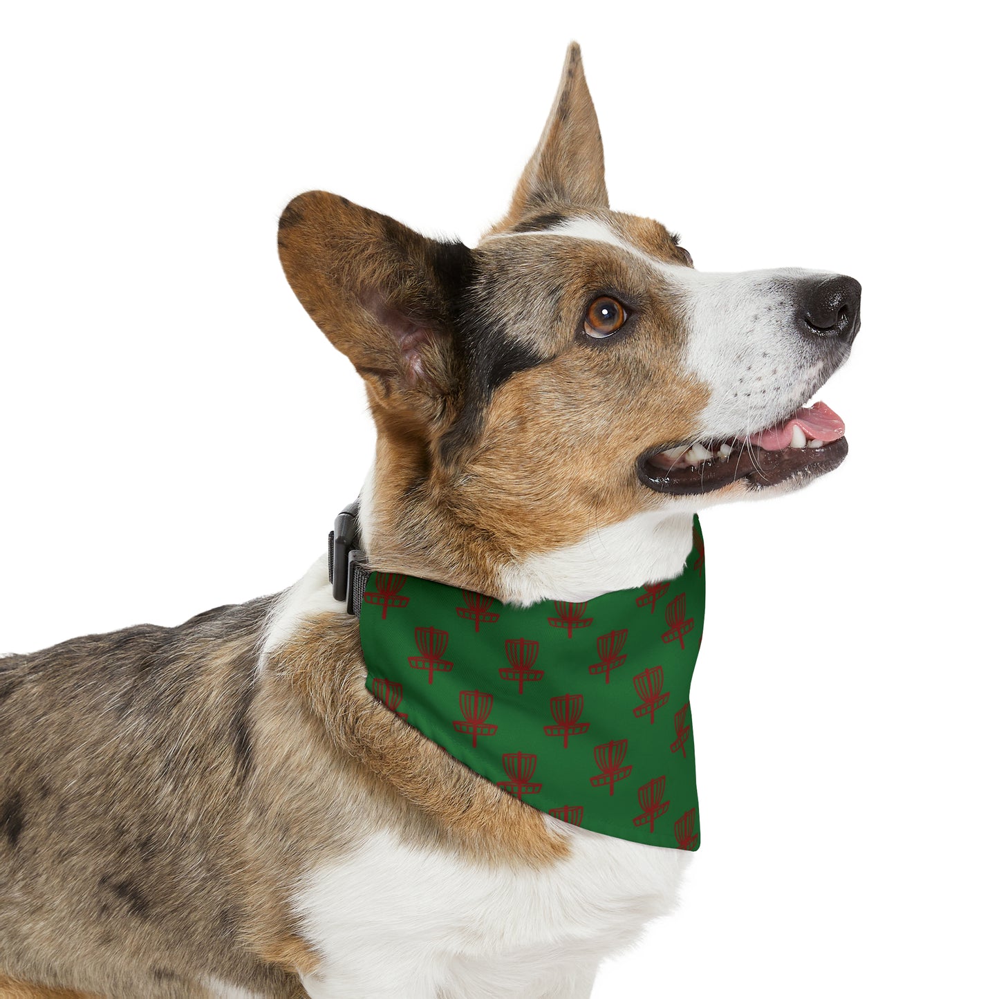 Pet Bandana Collar- Red on Green